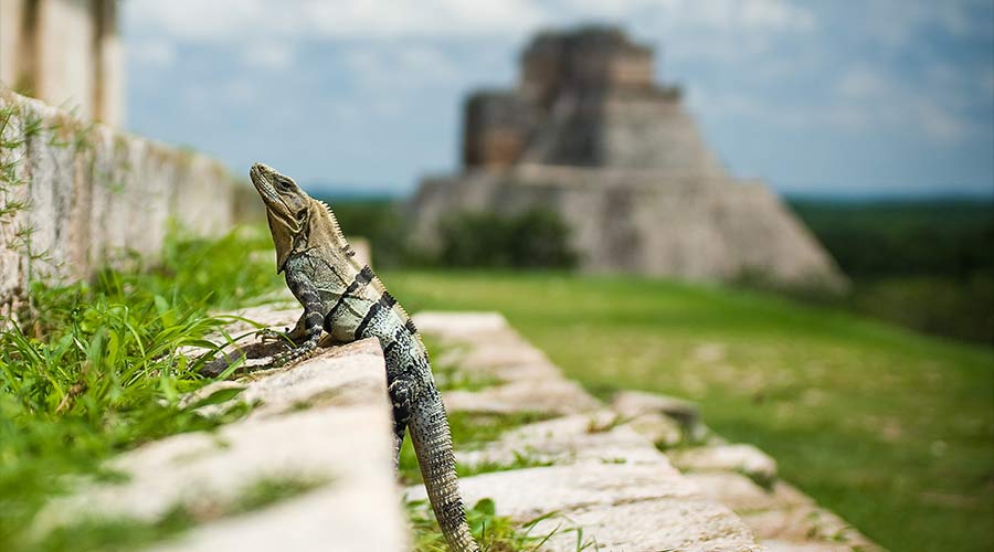 Geheimtipp Mexiko, Fernreisen