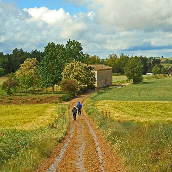 wandern